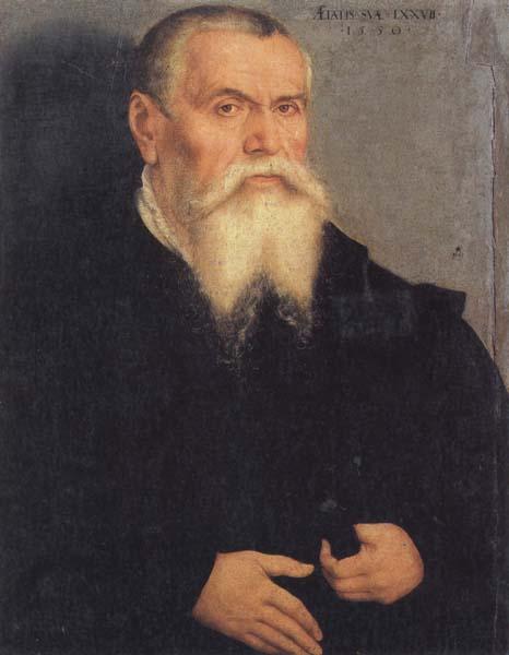  Portrait of Lucas Cranach the Elder
